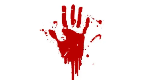 قتل پیرمرد اراکی در خشم پسر جوان