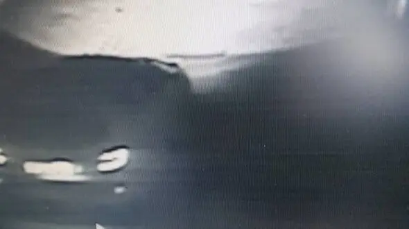 دستبرد از گورستان خودروها در مشهد / دزدان دست به آچار بودند