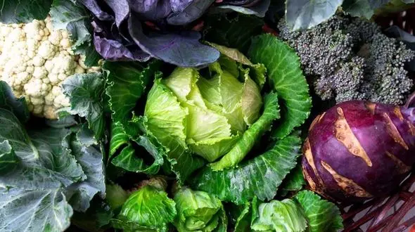 توصیه‌ های تغذیه‌ ای به مبتلایان کم‌ کاری تیروئید