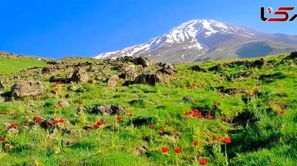  مهم ترین اخبار 24 ساعت گذشته مازندران