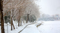 برف 20 استان ایران را سفیدپوش می کند + اسامی 