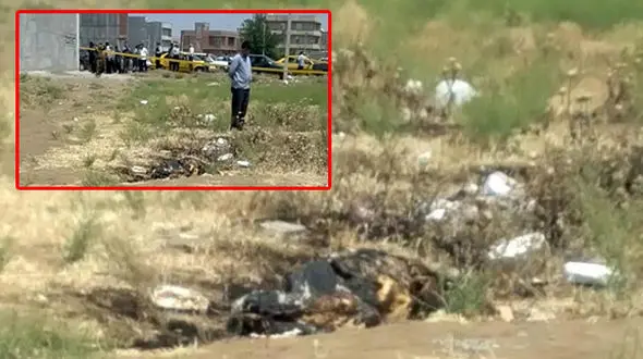 3 قتل مشابه دیگر در پرونده قاتل آتنا اصلانی مطرح شد / دادستان پارس آباد به رکنا گفت + عکس 