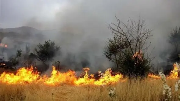 شناسایی ۲ نفر از عوامل آتش سوزی‌های عمدی جنگل‌ها و مراتع کشاورزی چگنی