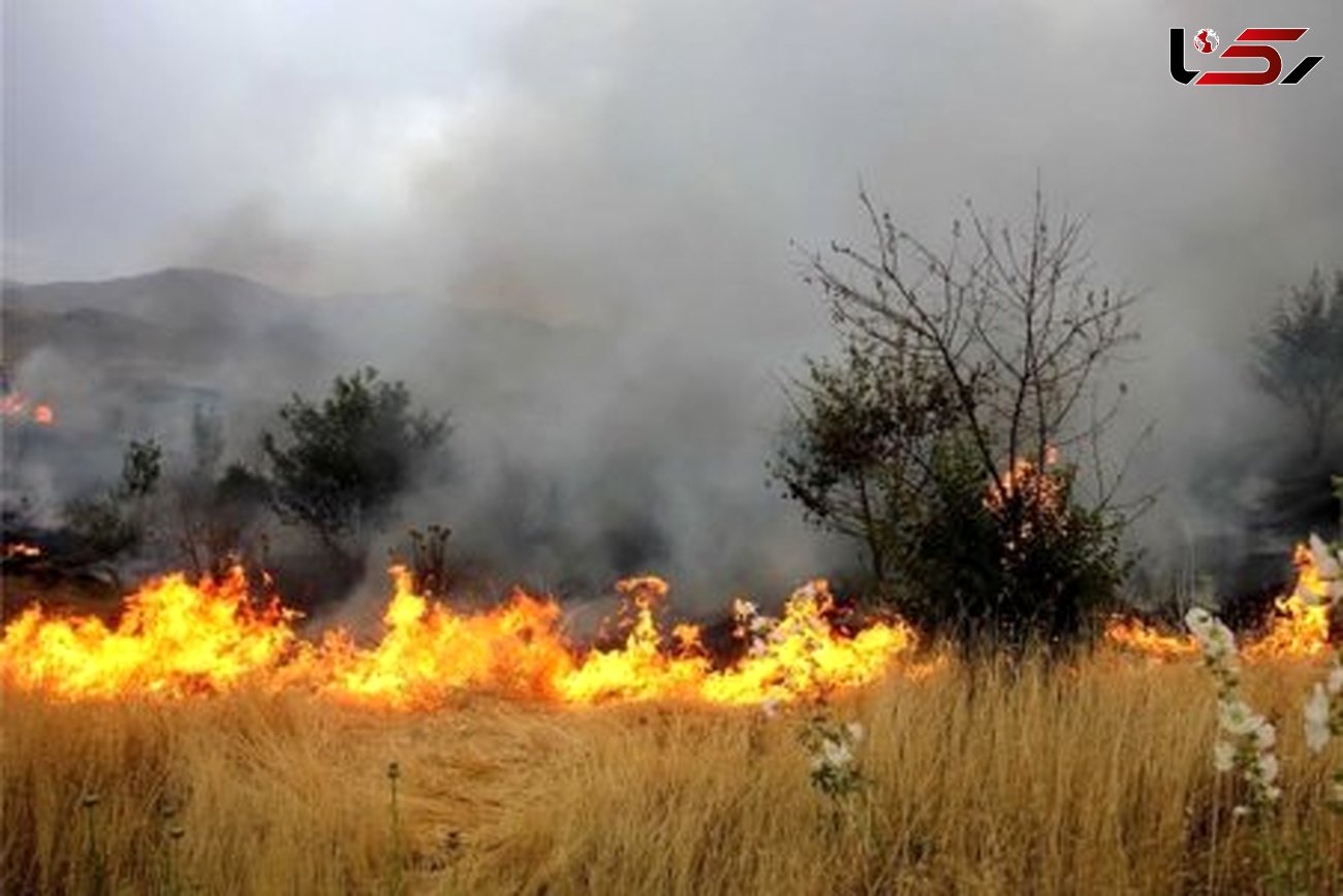 شناسایی ۲ نفر از عوامل آتش سوزی‌های عمدی جنگل‌ها و مراتع کشاورزی چگنی