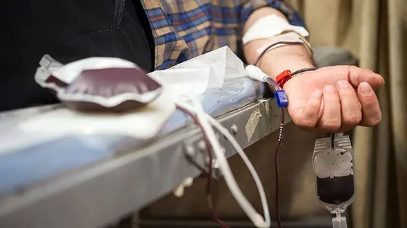 فیلم / گروه خونی اکثر ایرانیان مثبت است یا منفی؟ / سخنگوی سازمان انتقال خون تشریح کرد