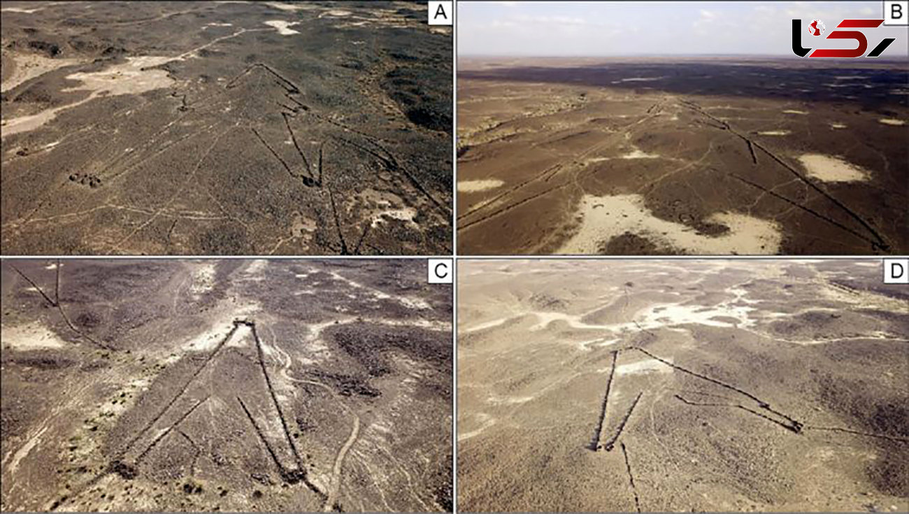راز الگوهای اسرارآمیز صحرای عربستان کشف شد