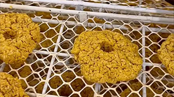 مراحل تهیه ترخینه و آش ترخینه + فیلم