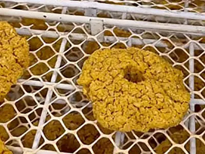 مراحل تهیه ترخینه و آش ترخینه + فیلم