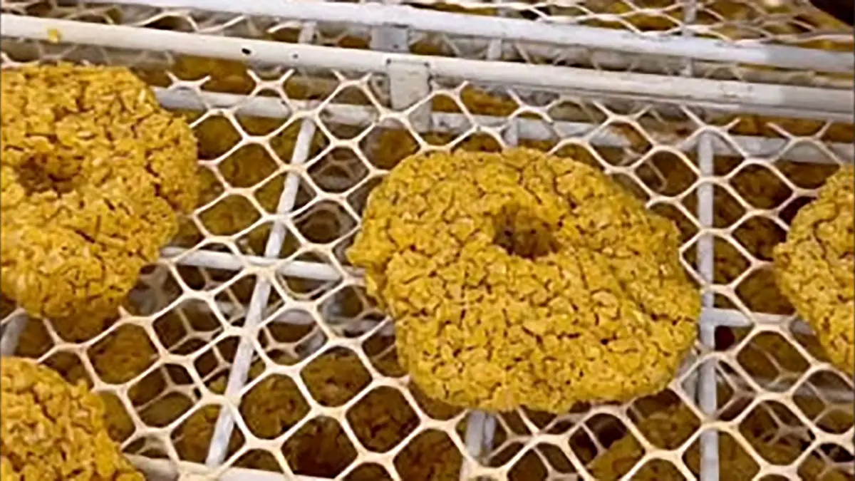 مراحل تهیه ترخینه و آش ترخینه