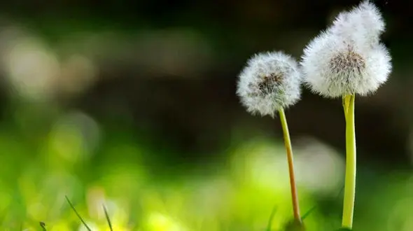 ۳ علامت کم رنگ شدن عشق / طلاق بگیریم یا ادامه دهیم؟