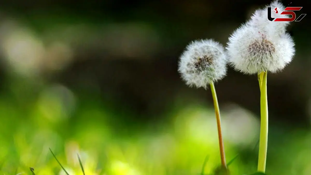 ۳ علامت کم رنگ شدن عشق / طلاق بگیریم یا ادامه دهیم؟