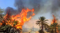 آتش در نخلستان سراوان