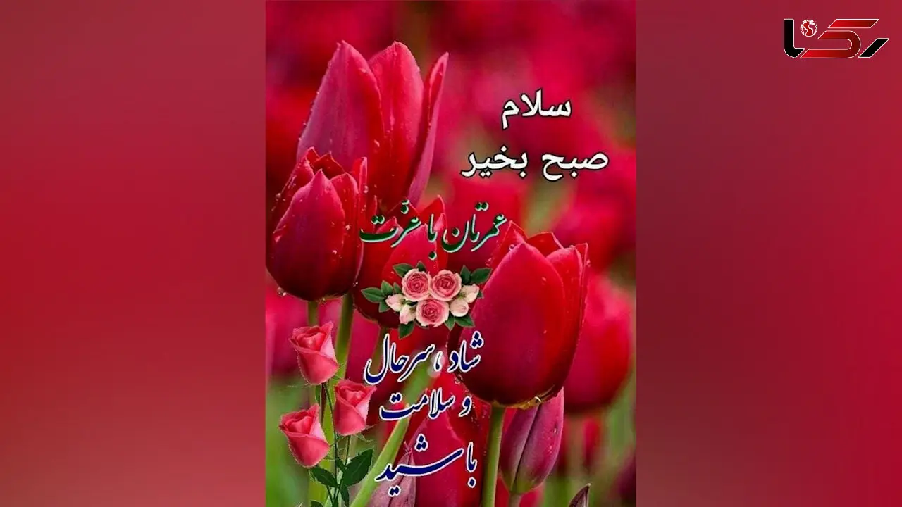 فال و طالع بینی روزانه 2 خرداد + فیلم 