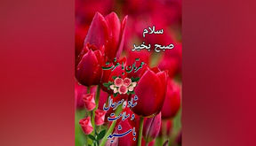 فال و طالع بینی روزانه 24 خرداد 