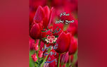 فال و طالع بینی روزانه 2 خرداد + فیلم 