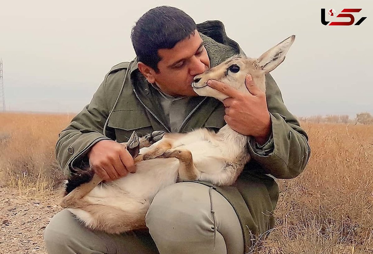 برگزاری جلسه بخشش برای محیط بان "برومند نجفی" / خانواده متوفی بزرگواری کنند