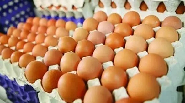 عرضه تخم مرغ های قهوه ای دردسر ساز شد/ حداکثر نرخ هر عدد تخم مرغ 350 تومان