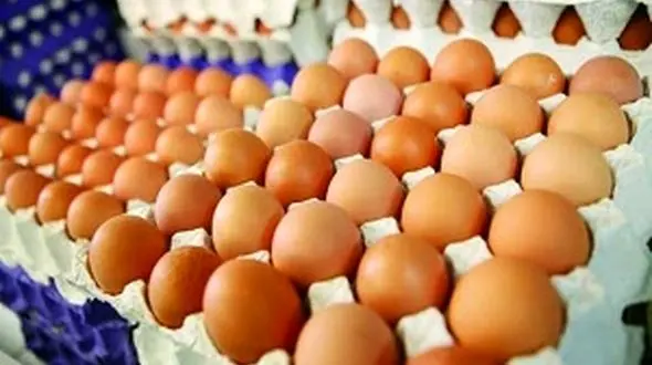 عرضه تخم مرغ های قهوه ای دردسر ساز شد/ حداکثر نرخ هر عدد تخم مرغ 350 تومان