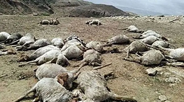 وحشتناک ترین صاعقه ایران در شهرستان خوی / ظهر دیروز رخ داد