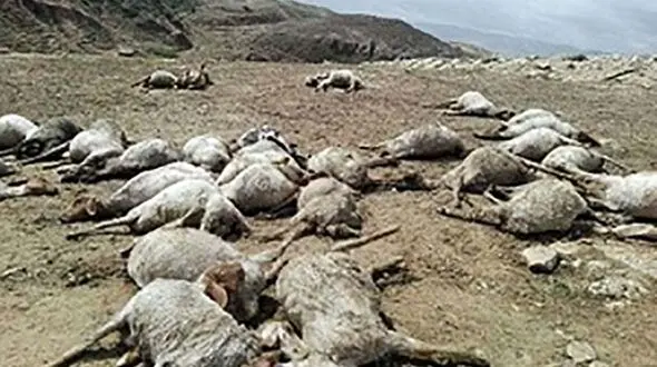 وحشتناک ترین صاعقه ایران در شهرستان خوی / ظهر دیروز رخ داد
