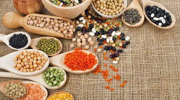 رسیدن به وزن ایده آل با رژیم پروتئین