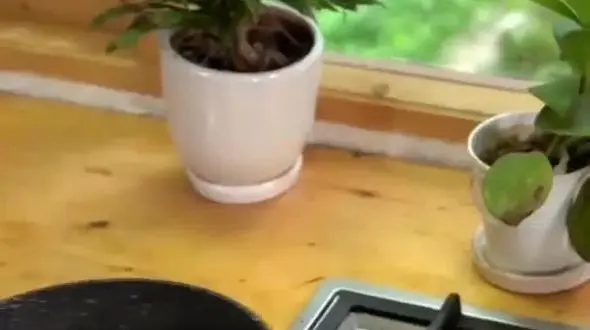 ببینید / طبخ جوجه کره پز  با سس زرشک در منزل +فیلم