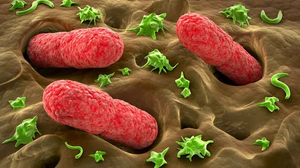 چگونه از ابتلا به بیماری‌های میکروبی در امان باشیم