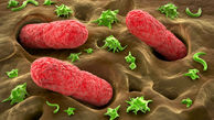 چگونه از ابتلا به بیماری‌های میکروبی در امان باشیم