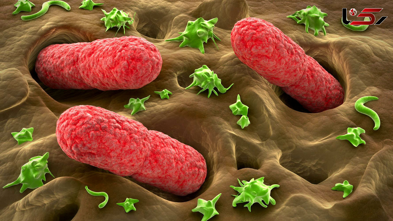 چگونه از ابتلا به بیماری‌های میکروبی در امان باشیم