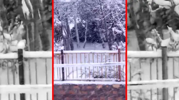 فیلم مناظر زمستانی و سفیدپوش آذربایجان غربی