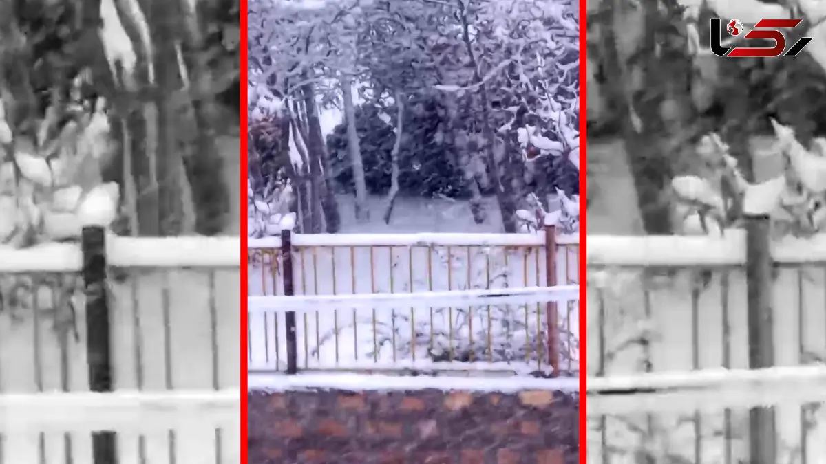 فیلم مناظر زمستانی و سفیدپوش آذربایجان غربی