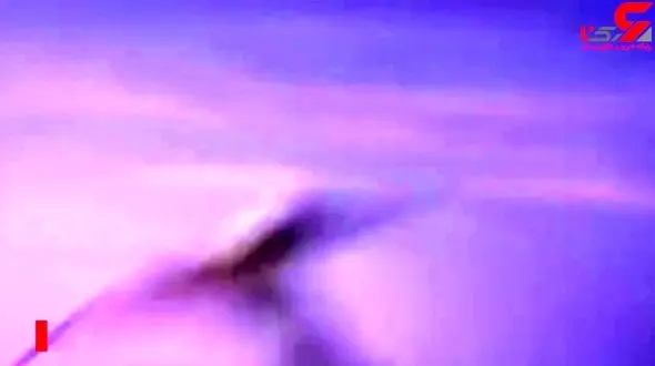 برنده "اسکار" فیلم انیمیشن + فیلم