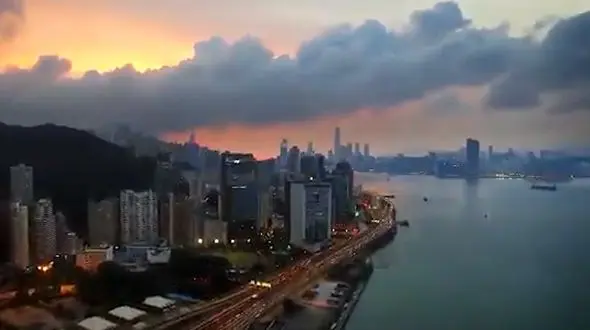 آیا با ششمین انقراض حیات در کره زمین مواجهیم؟ / فیلم