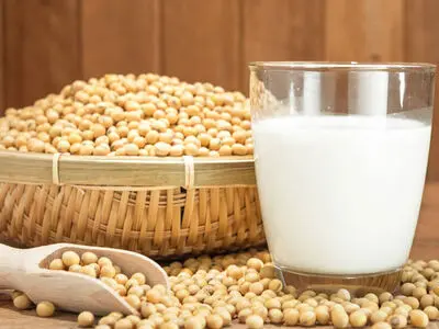 طرز تهیه شیر سویا خانگی با سویا خشک؛ سالم، مقوی و اقتصادی