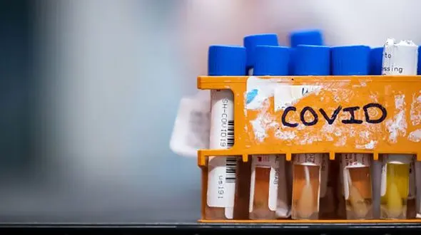 کرونا و کودکان / دانستنی های مفید