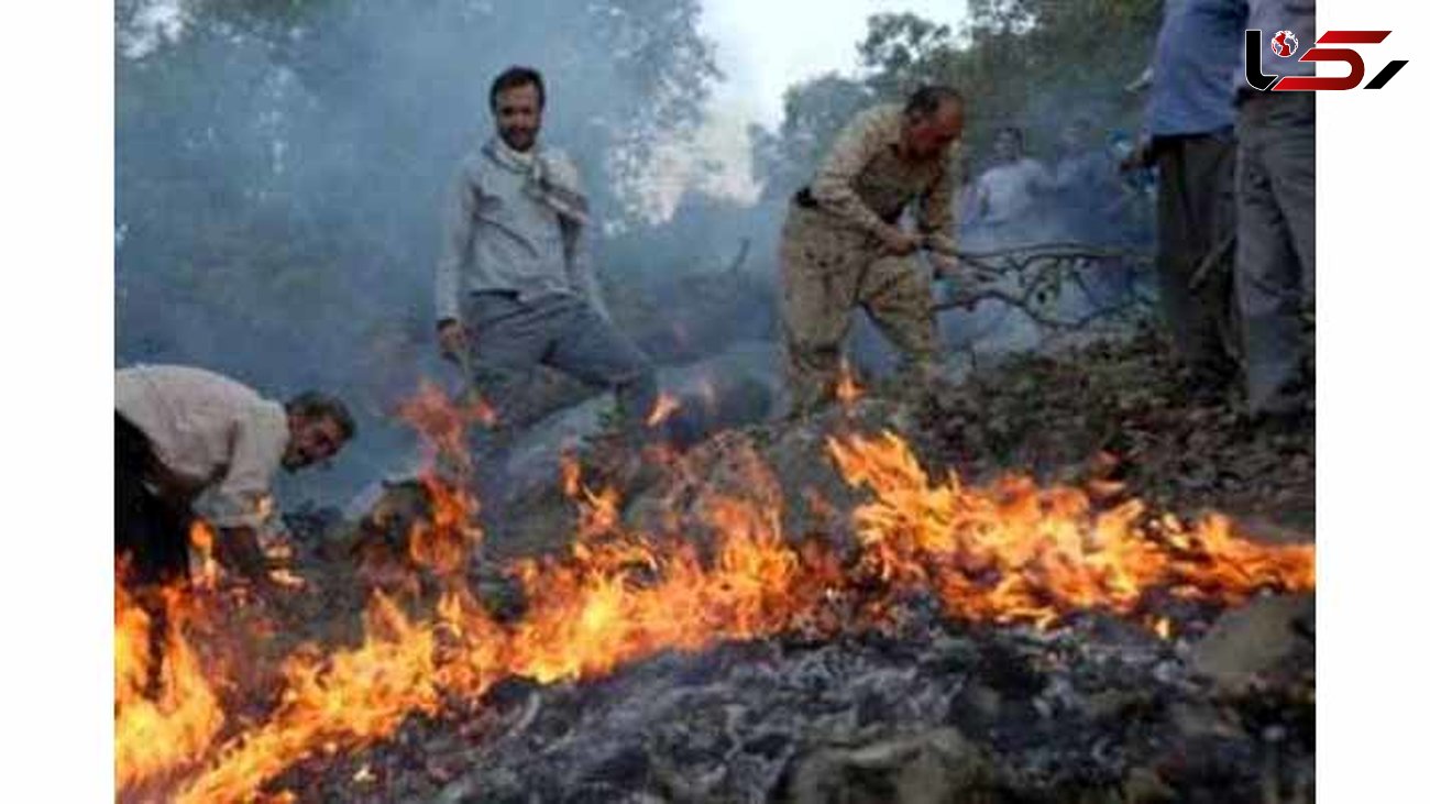 مصدومیت 3 محیط بان در آتش سوزی پارک ملی گلستان