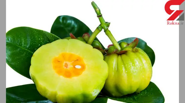 این میوه عجیب برای لاغری معجزه می کند! + جزییات