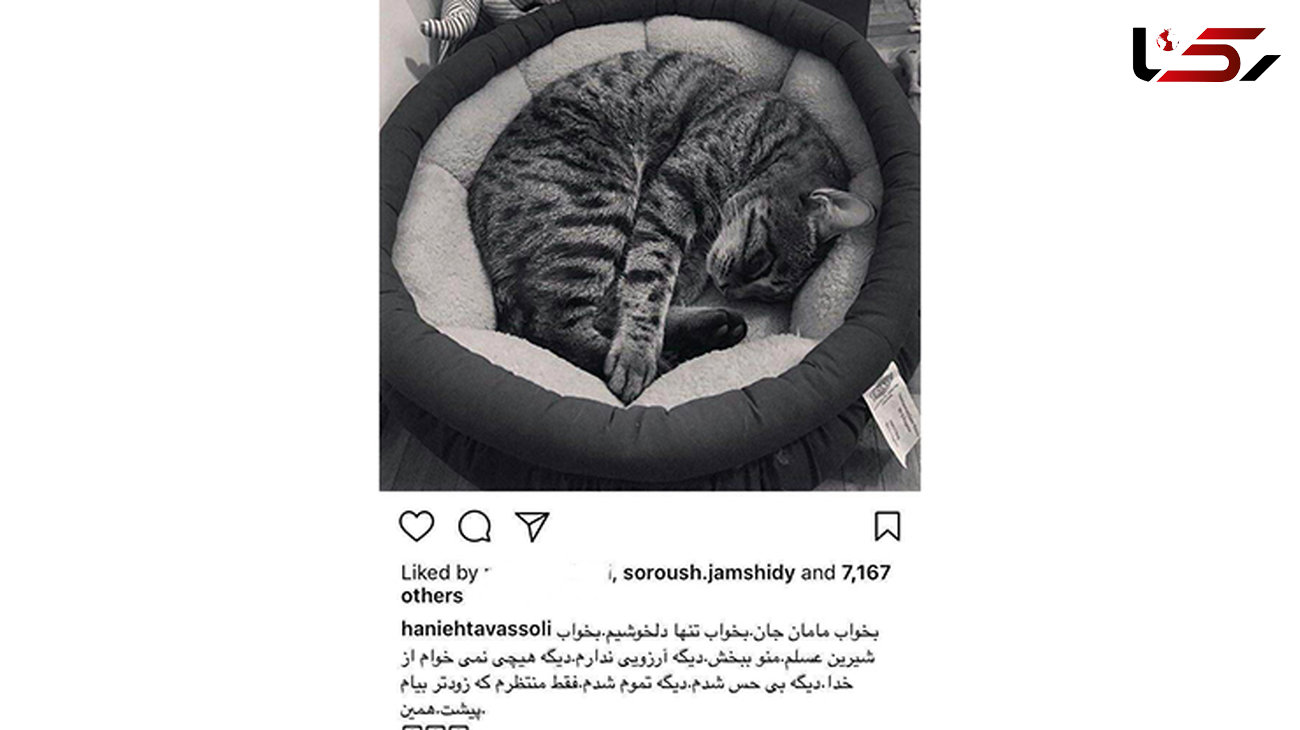 مرگ گربه هانیه توسلی و واکنش احساسی این بازیگر + عکس