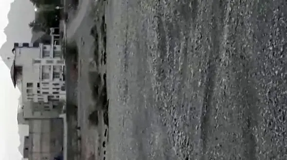 وضعیت گرازهای تشنه در هرمزگان + فیلم 