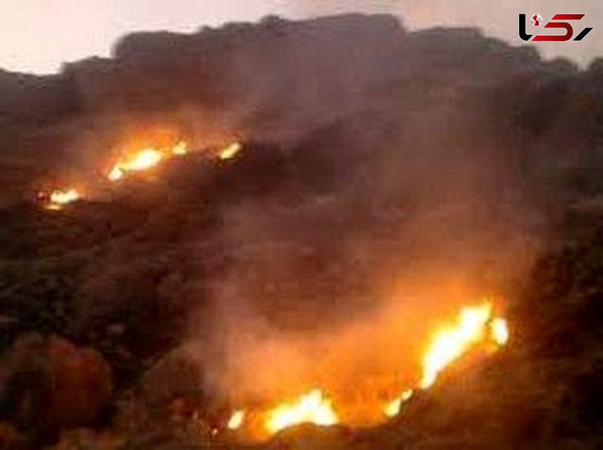 آتش همچنان در کوه مونگشت ایذه زبانه می کشد