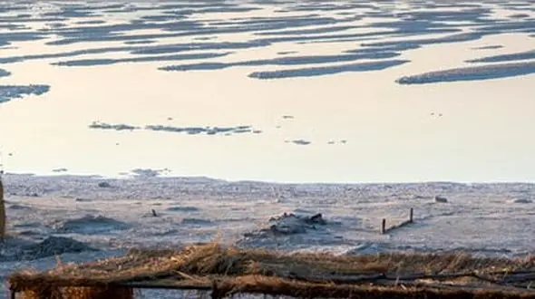 "متهم ردیف اول مرگ دریاچه"/"توسعه کشاورزی بی‌ضابطه و فاقد آمایش سرزمینی" 