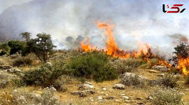 Forest Fires Spread as Environmental Cultural Unit and Media Stay Absent