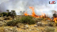 Forest Fires Spread as Environmental Cultural Unit and Media Stay Absent
