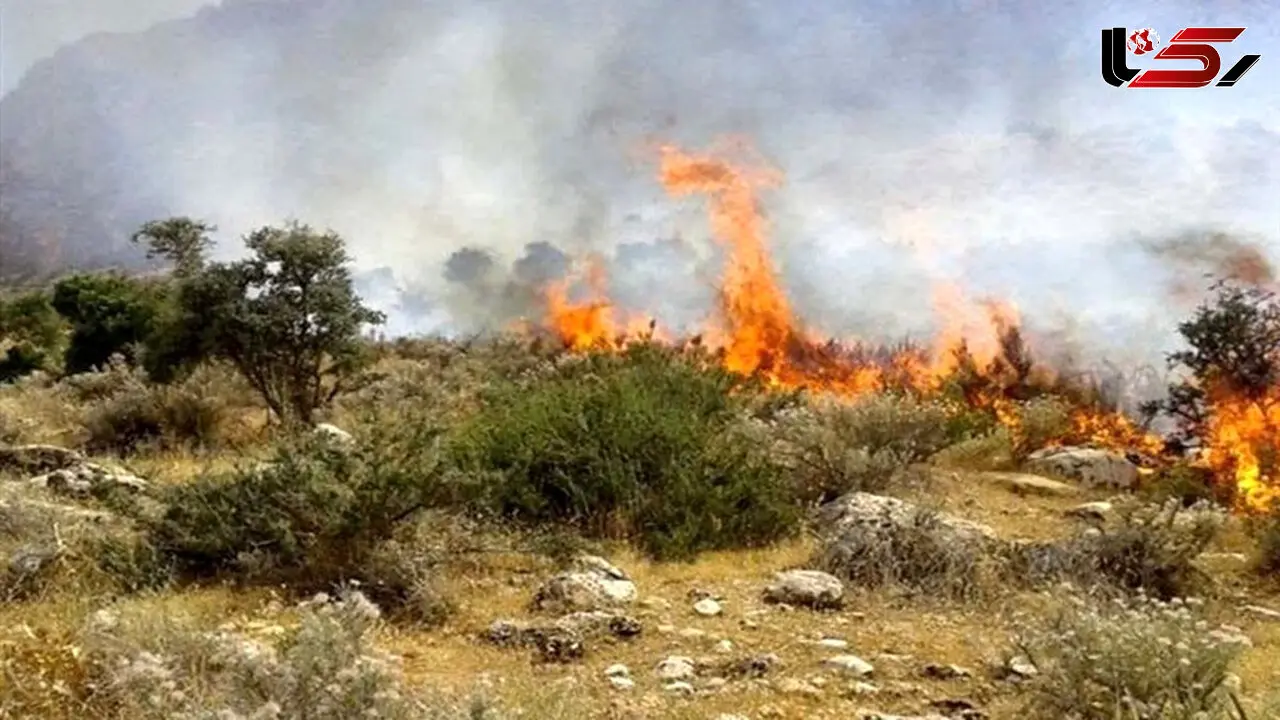 Forest Fires Spread as Environmental Cultural Unit and Media Stay Absent