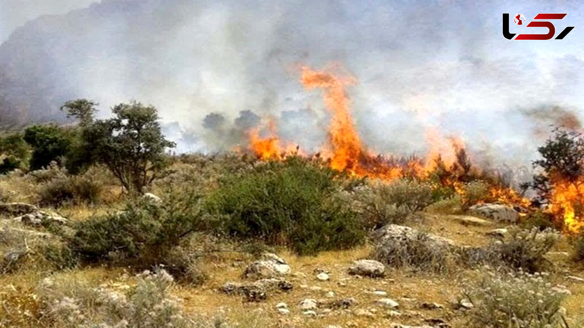 Forest Fires Spread as Environmental Cultural Unit and Media Stay Absent