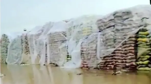 ببینید | برنج‌های وارداتی در گمرک زاهدان غرق در آب!