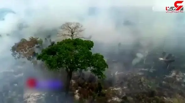 آتشی که جان جنگل‌های آمازون را گرفت + فیلم