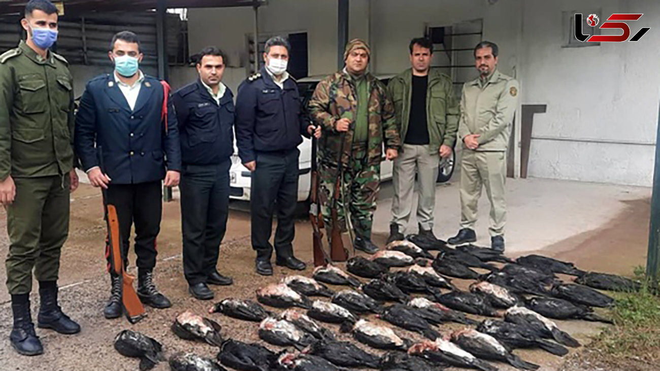 دستگیری خشن ترین قاتل پرندگان مهاجر در گیلان + عکس از کشتاری تلخ