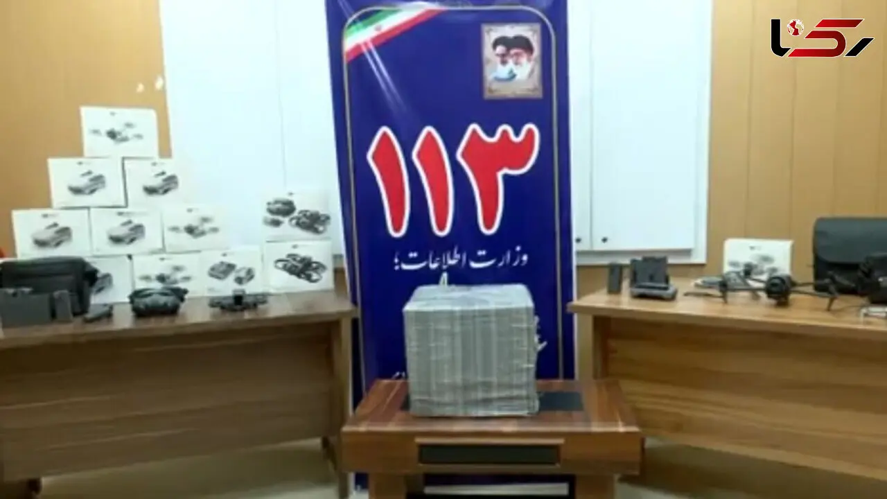 چندین ریزپرنده در استان بوشهر کشف شد