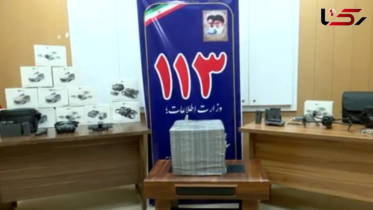 چندین ریزپرنده در استان بوشهر کشف شد